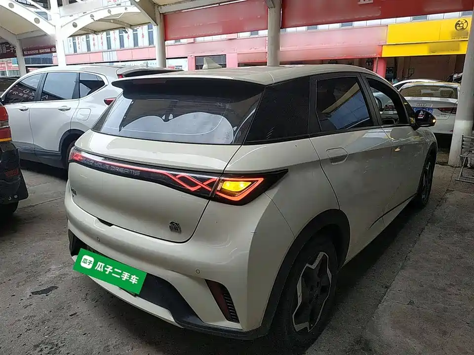 BYD dolphin