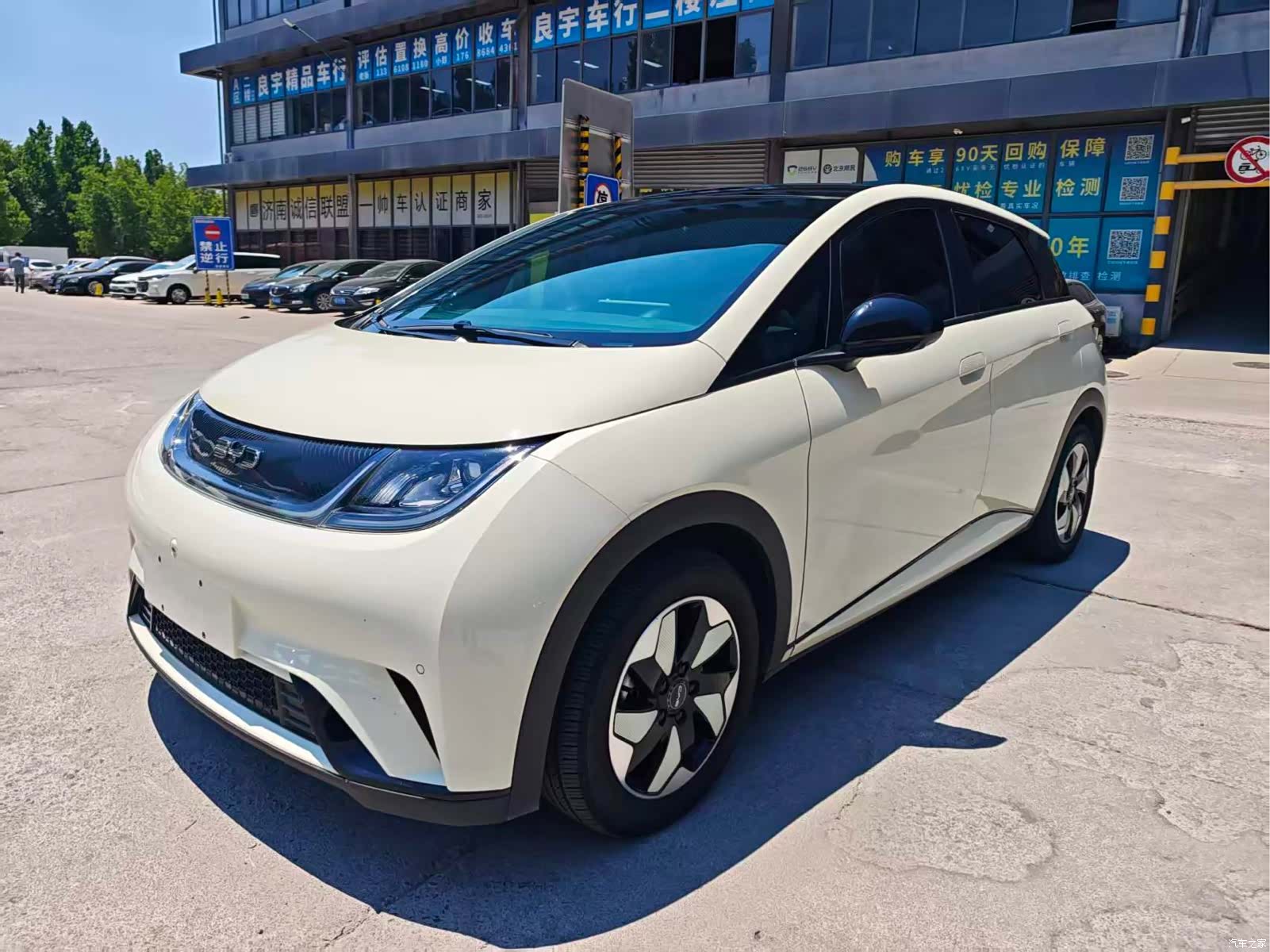 BYD Dolphin, 2024 1