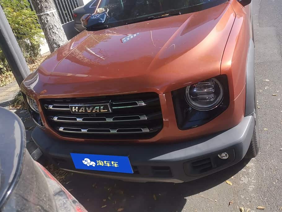 Haval Big dog