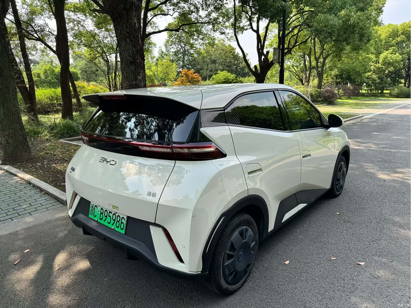 BYD Seagull, 2024 4
