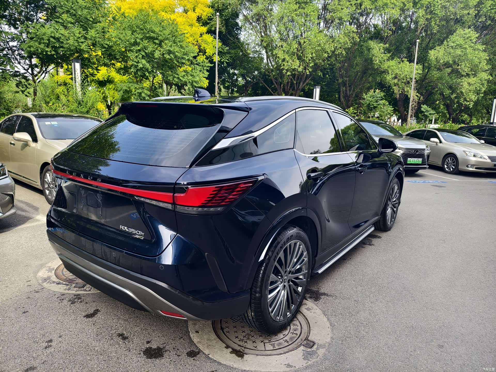 Lexus RX, 2024 4