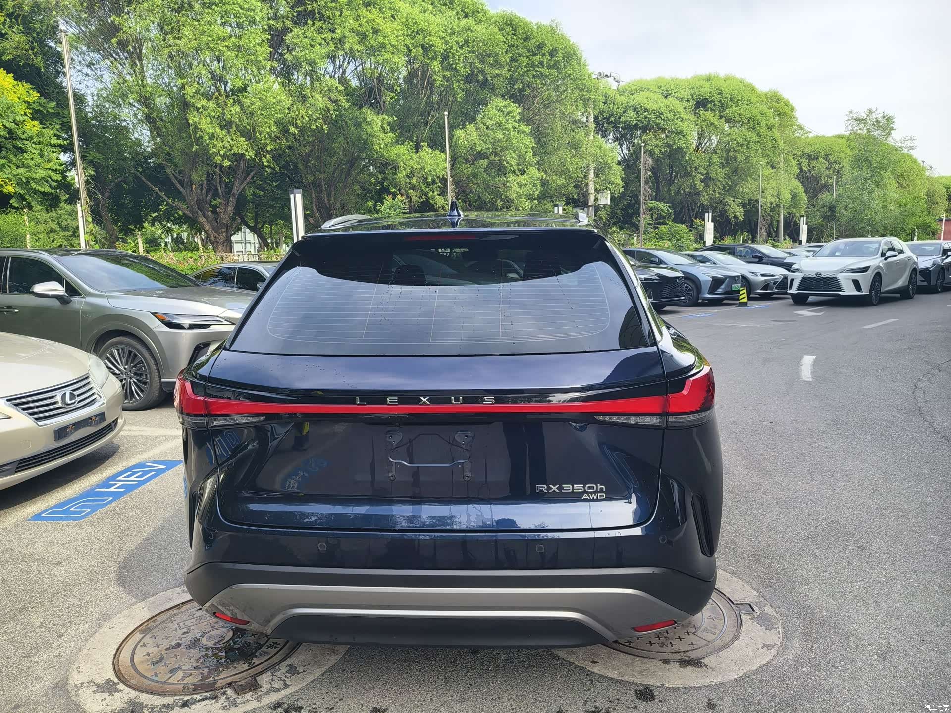 Lexus RX, 2024 все фото