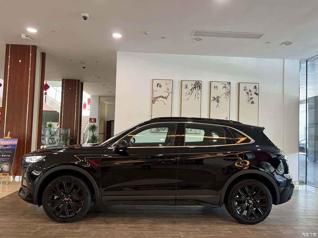 Hongqi HS5, 2024 3