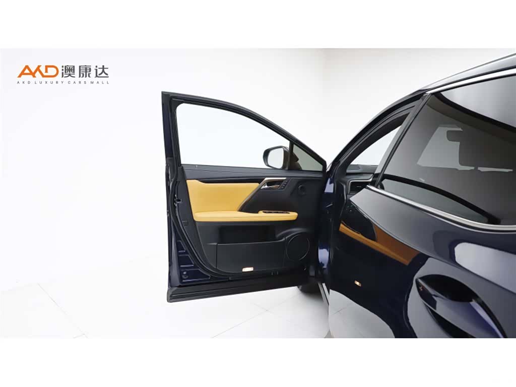 Lexus RX, 2017 10