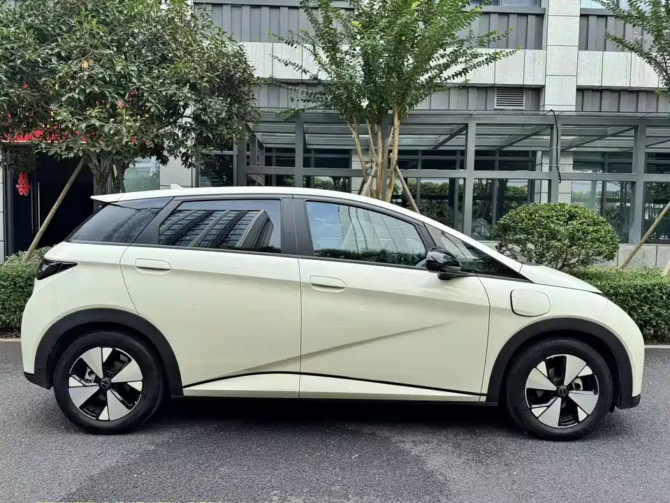 BYD dolphin