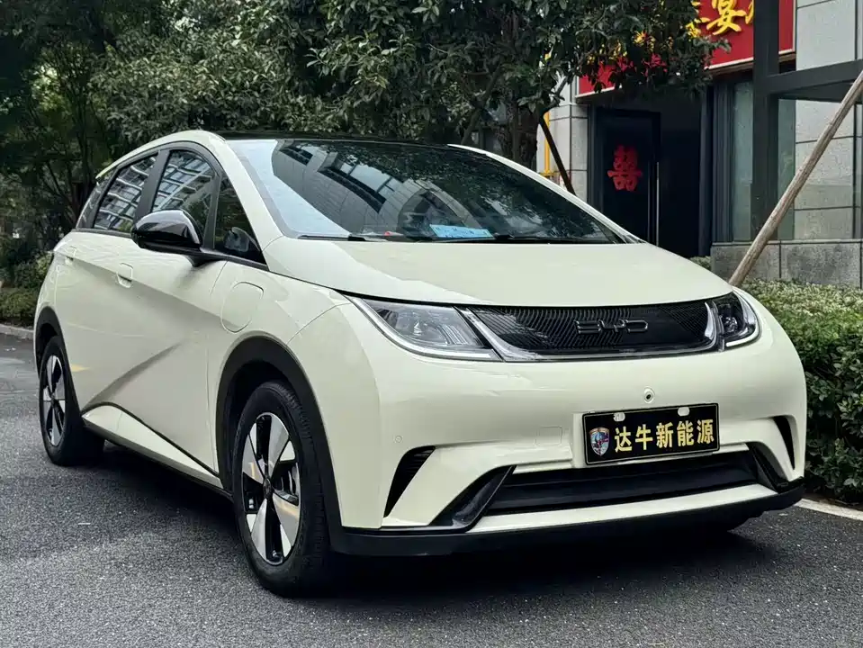 BYD dolphin