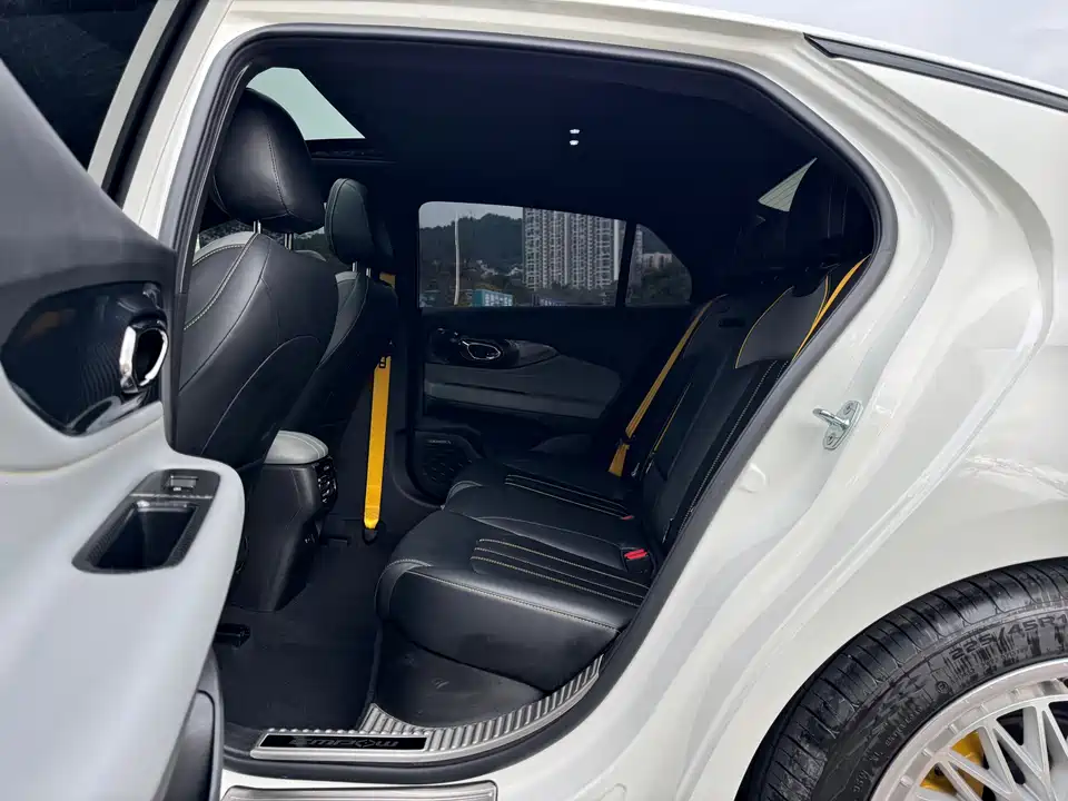 Trumpchi Shadow Leopard