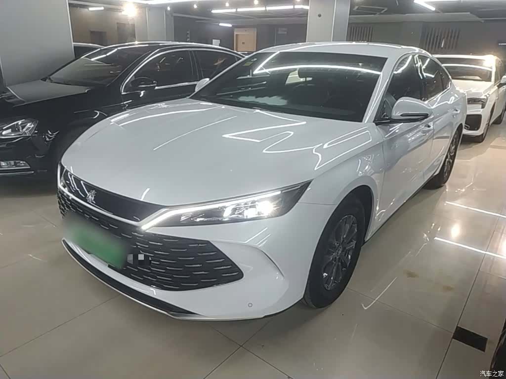 BYD Qin, 2026 2