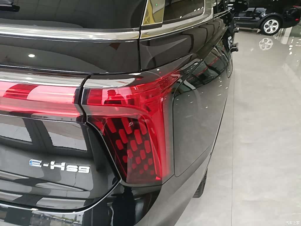 Hongqi E-HS9, 2023 8