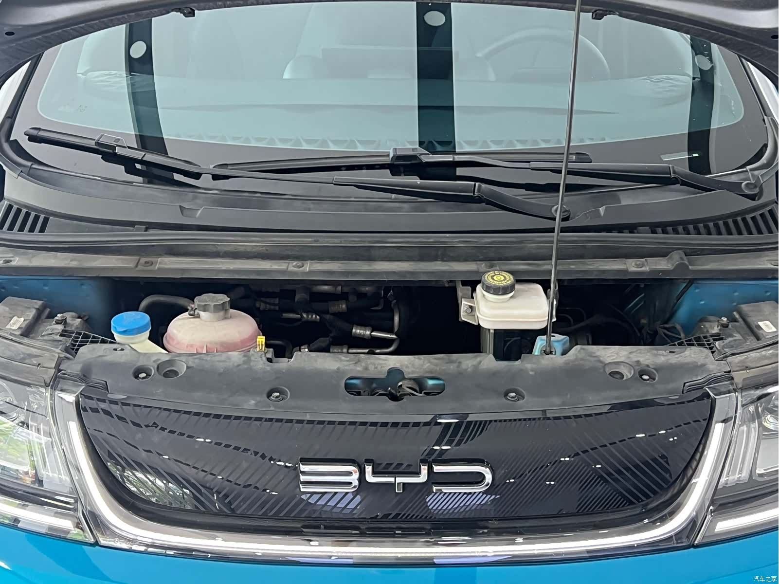 BYD Dolphin, 2023 4