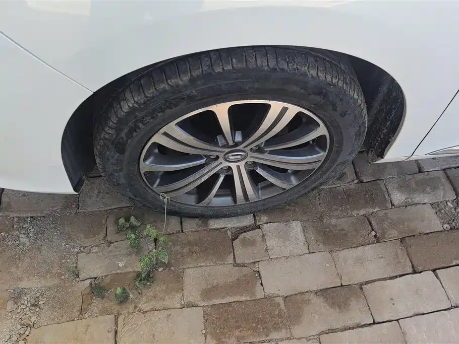 Trumpchi Trumpchi M8