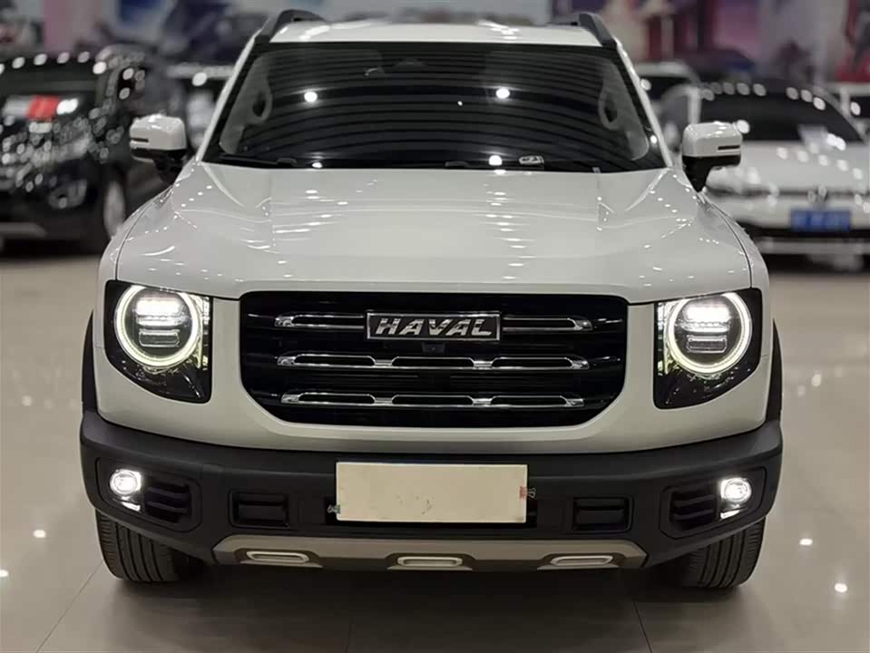 Haval Big dog
