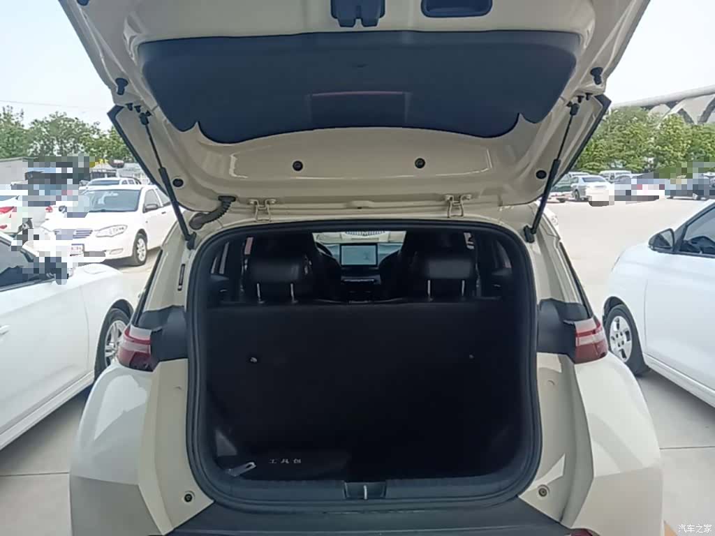 BYD Seagull, 2024 19