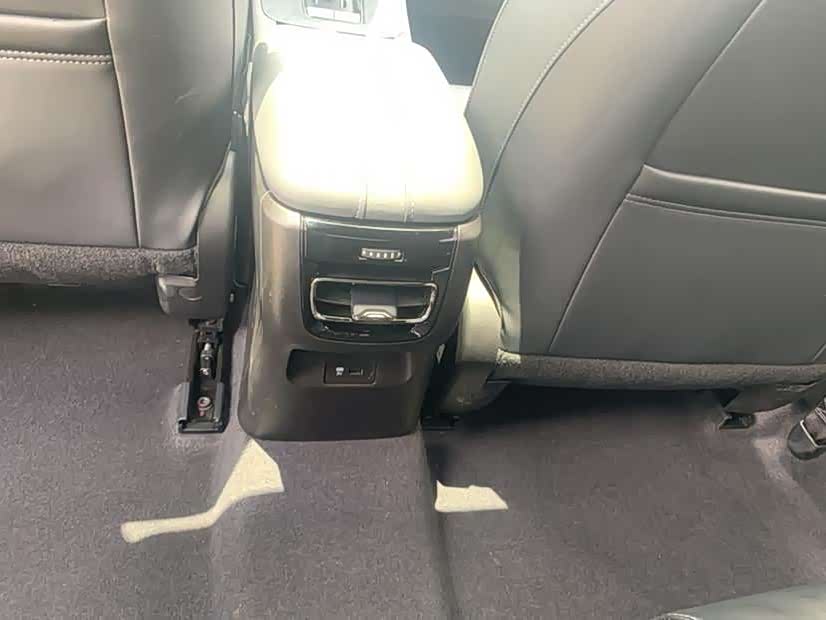 Trumpchi Shadow Leopard