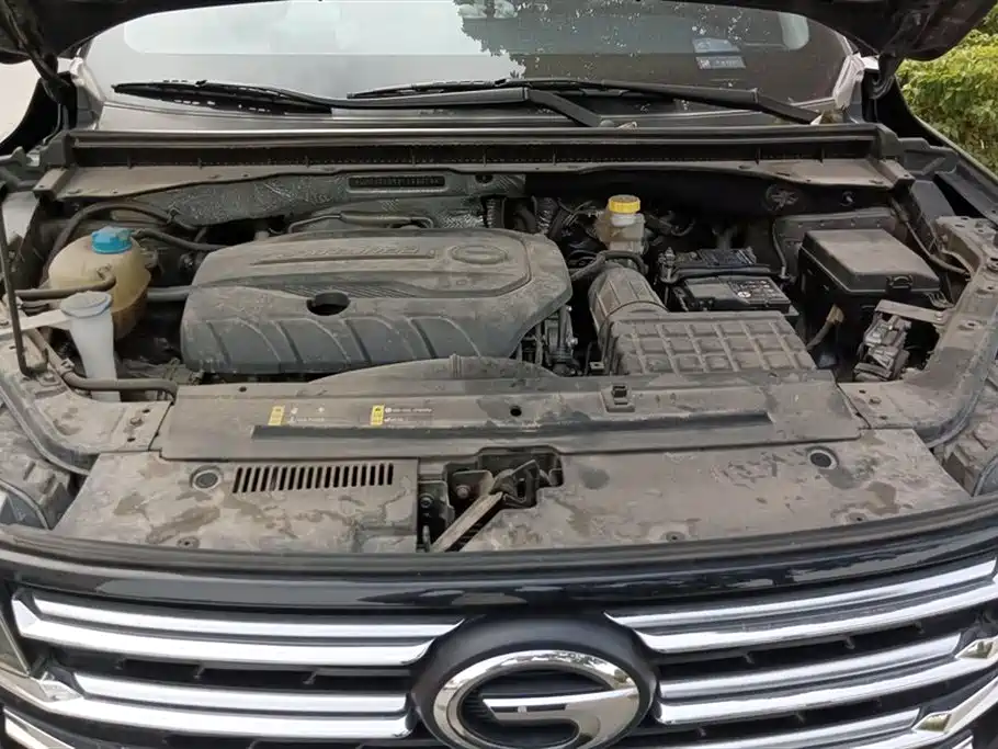 Trumpchi Trumpchi GS4