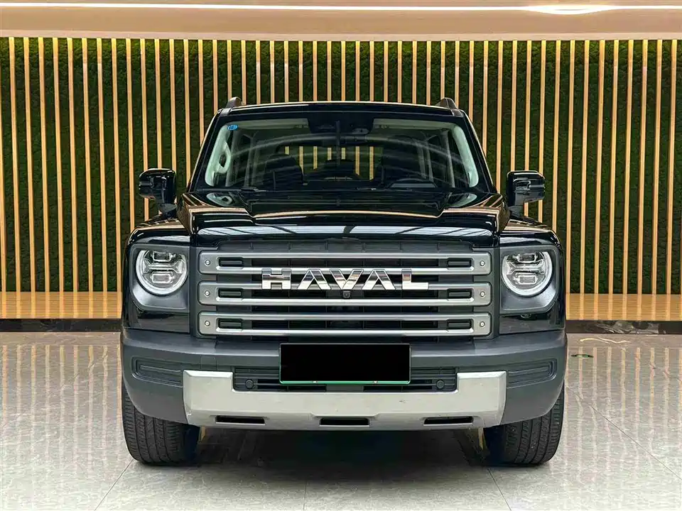 Haval Raptors