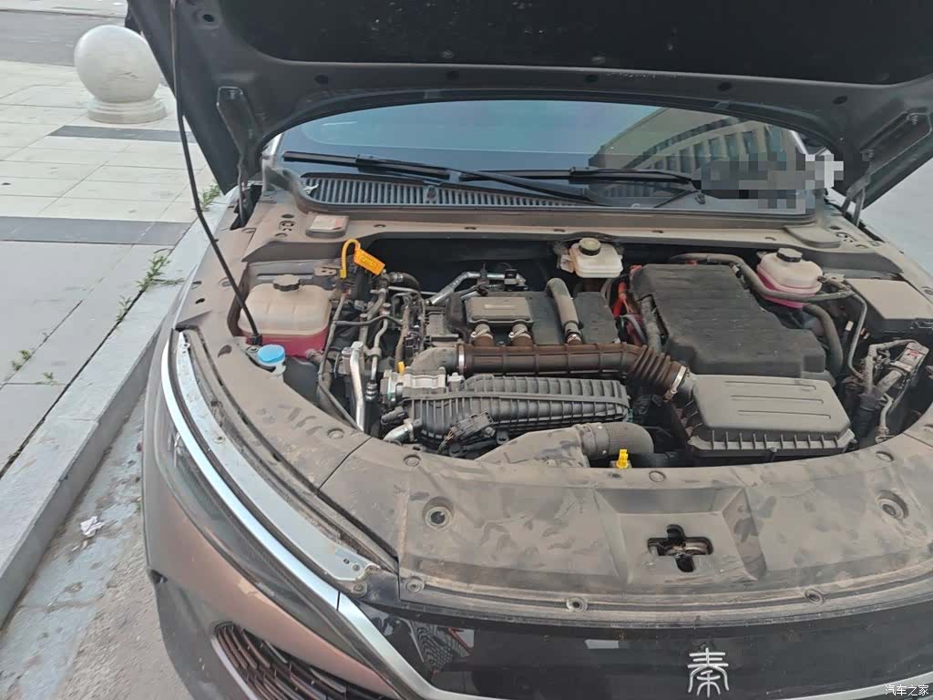 BYD Qin, 2025 23