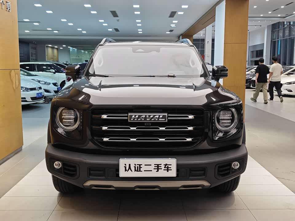 Haval Big dog