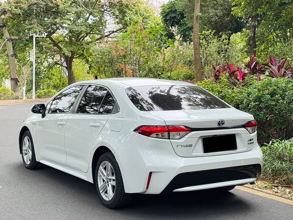 Toyota Lei Ling