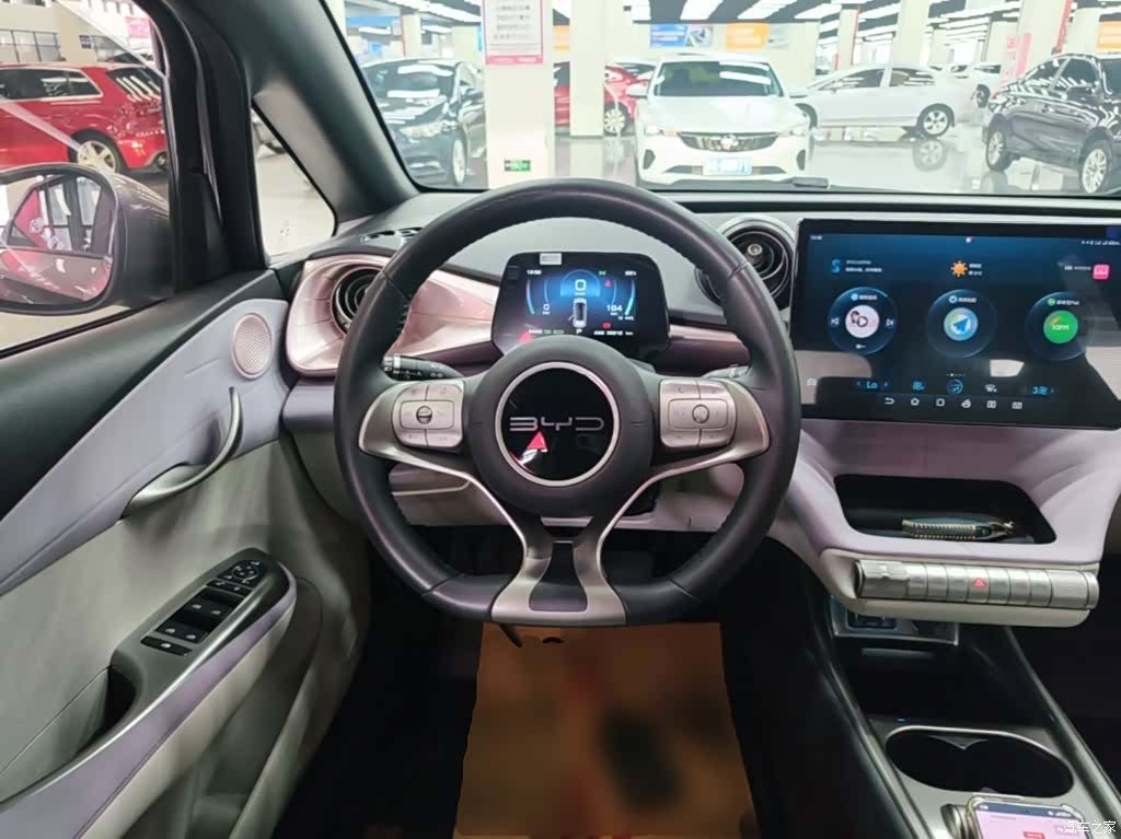 BYD Dolphin, 2023 11