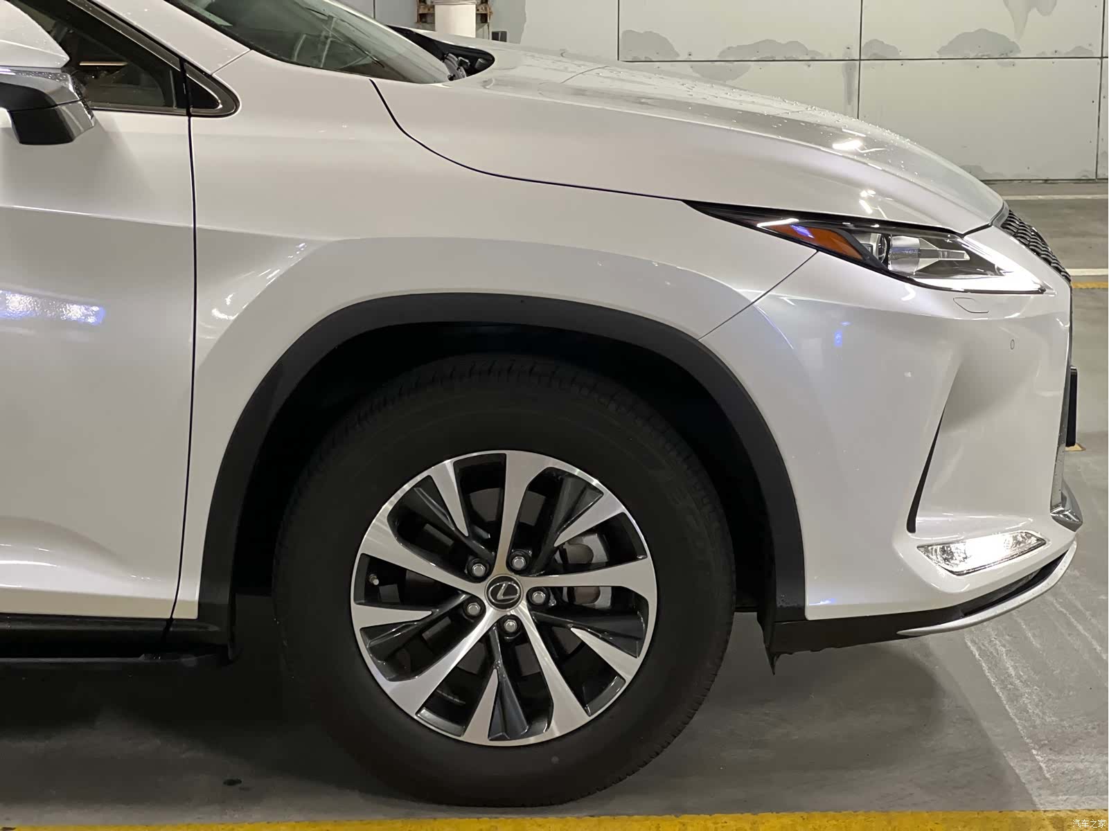 Lexus RX, 2022 25