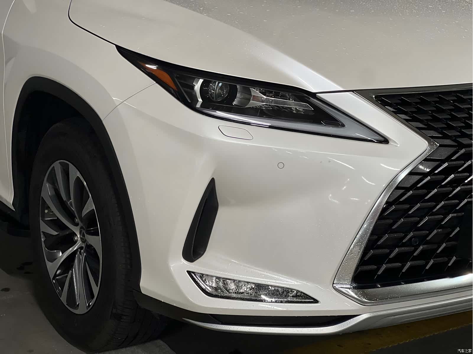 Lexus RX, 2022 30