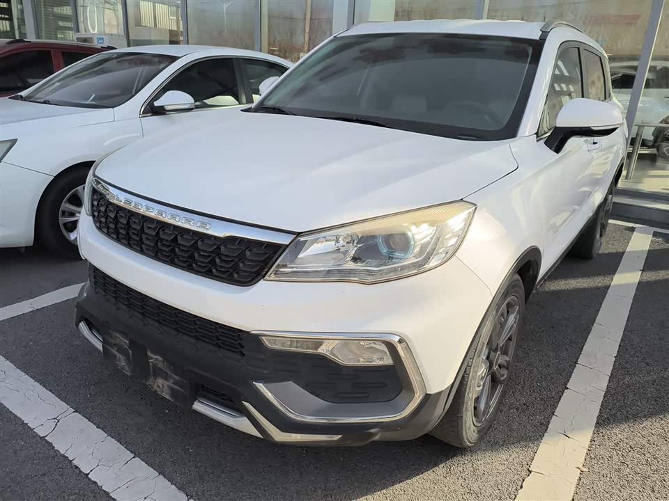 Leopaard Cheetah CS9