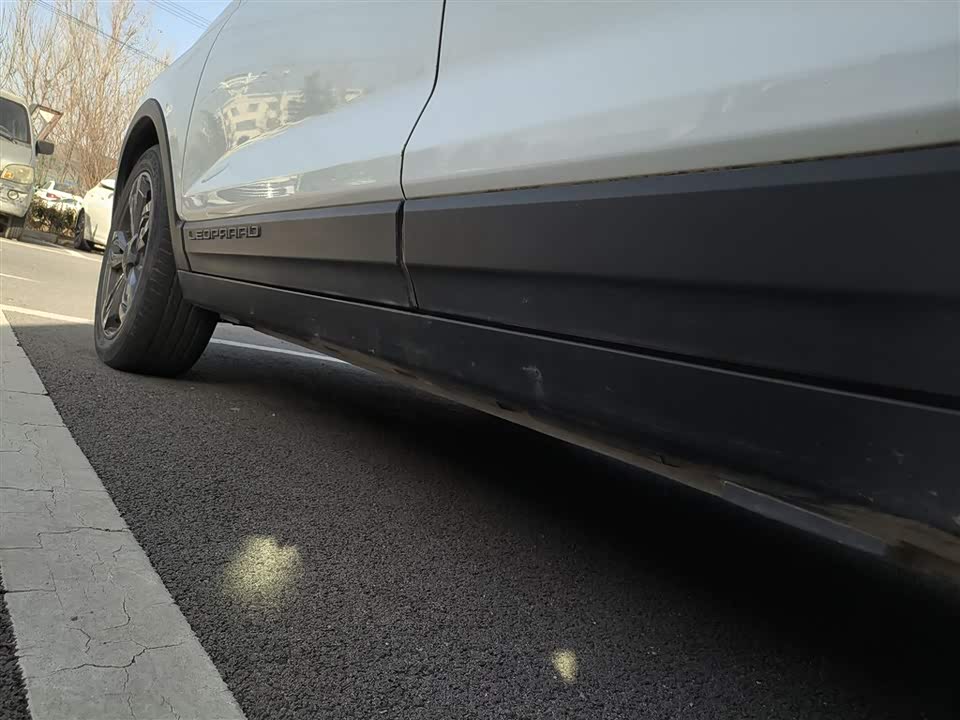 Leopaard Cheetah CS9