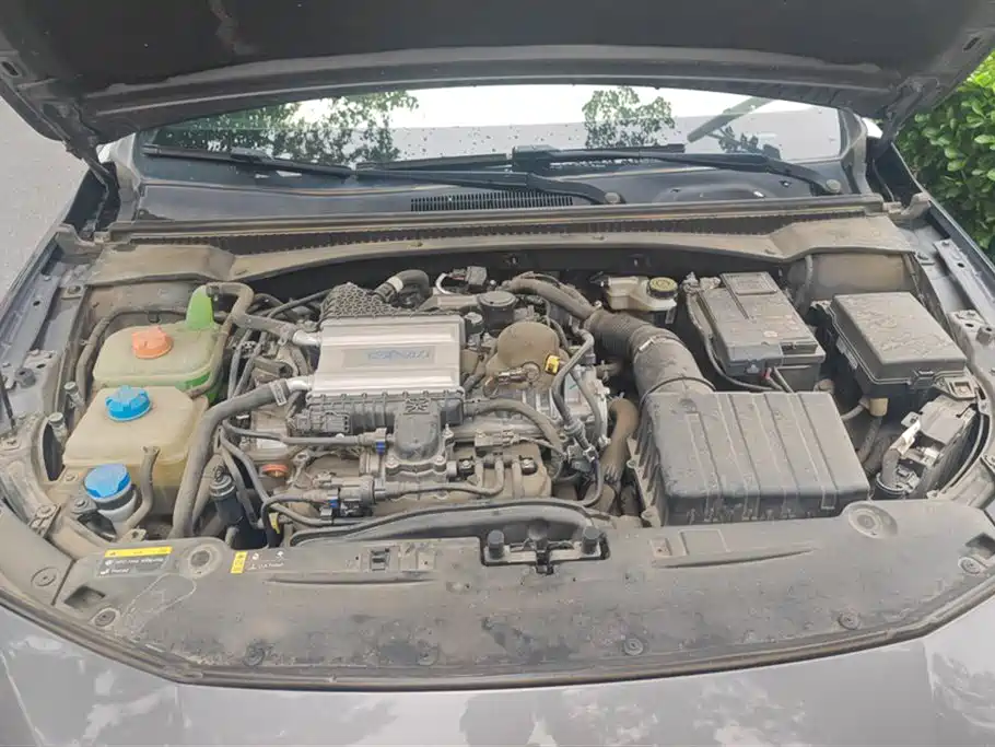 Trumpchi Shadow Leopard