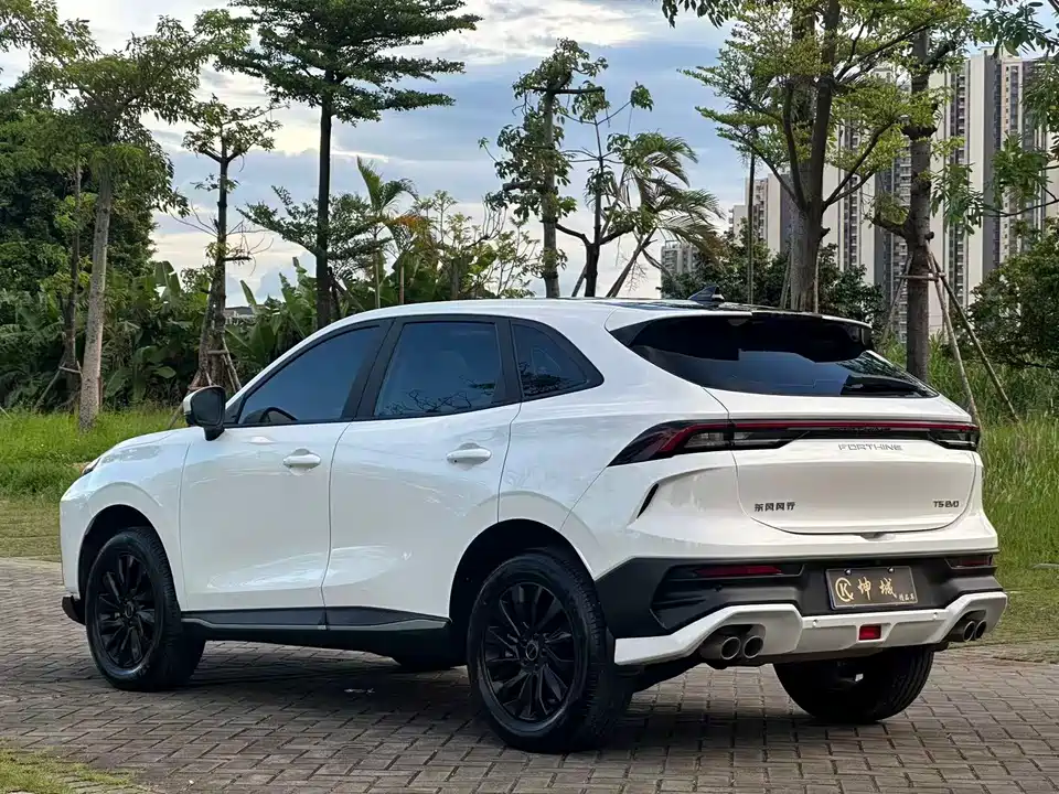 Forthing Popular T5 EVO