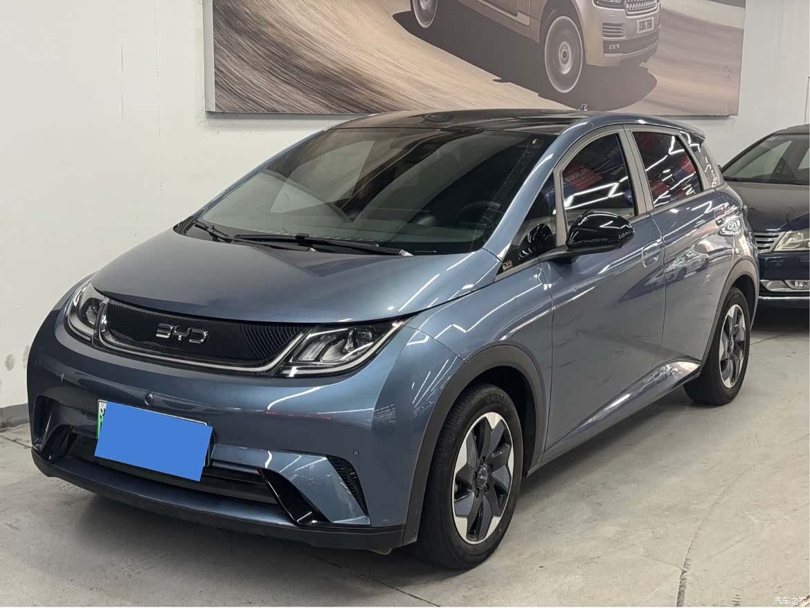 BYD Dolphin, 2024 1