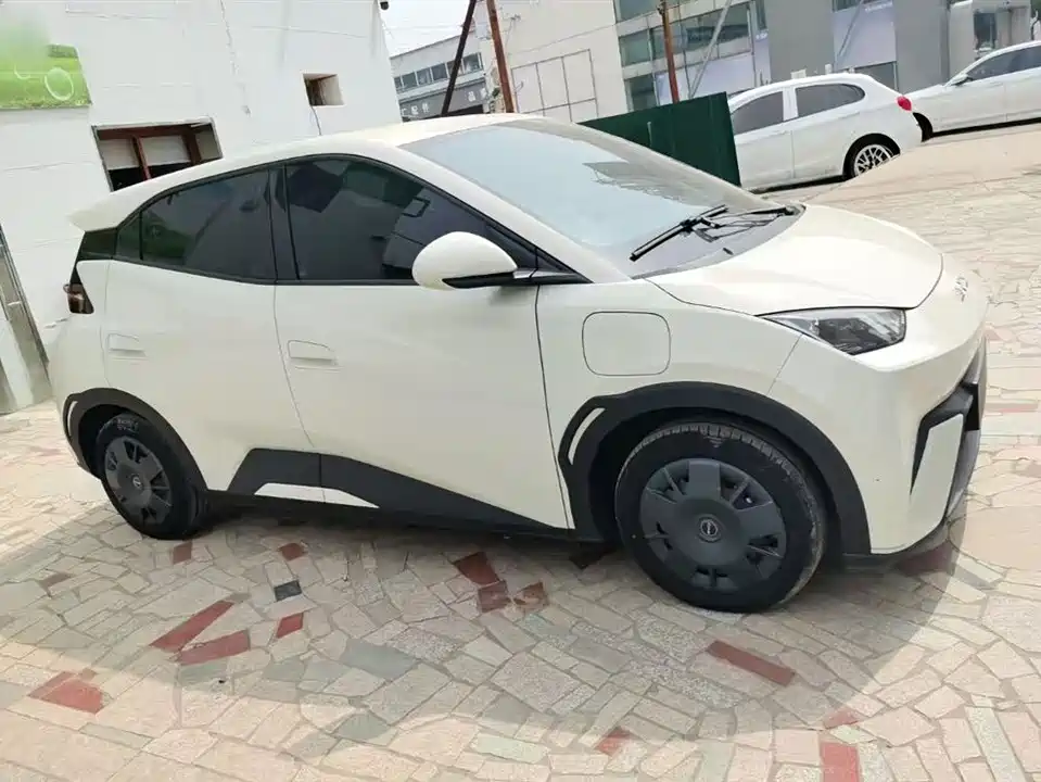 BYD Seagull