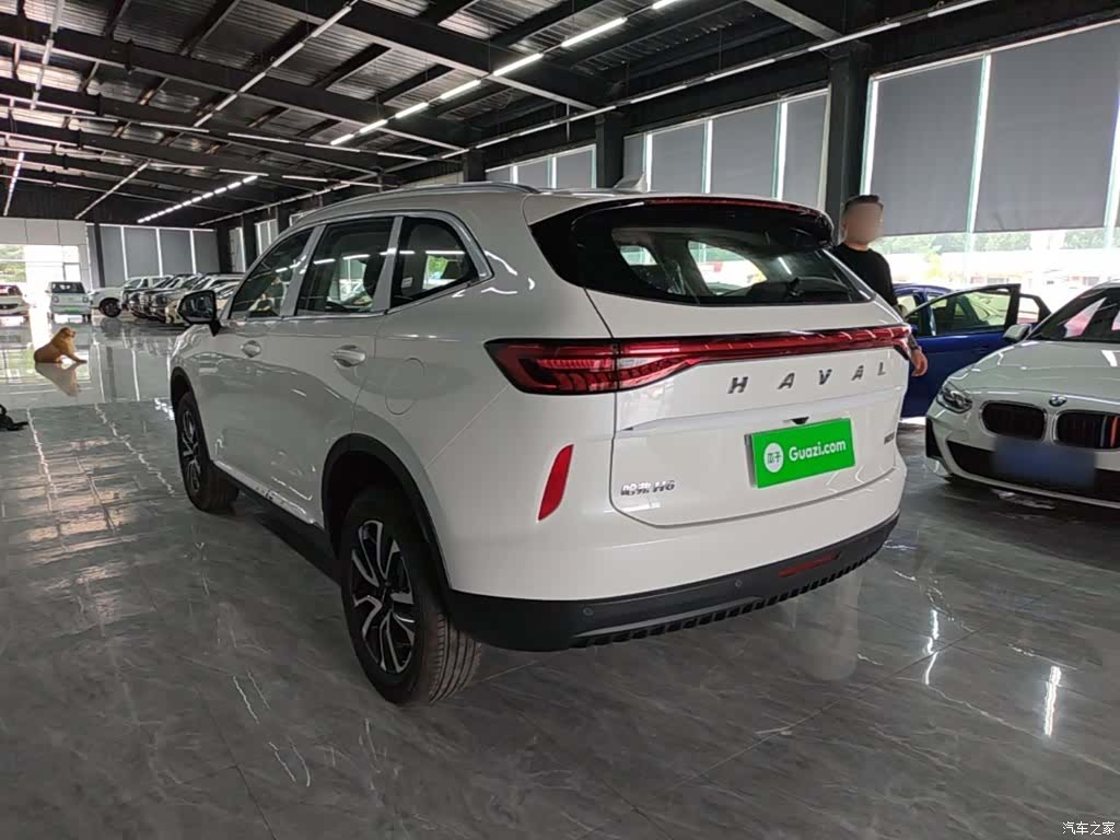 Haval H6, 2026 все фото