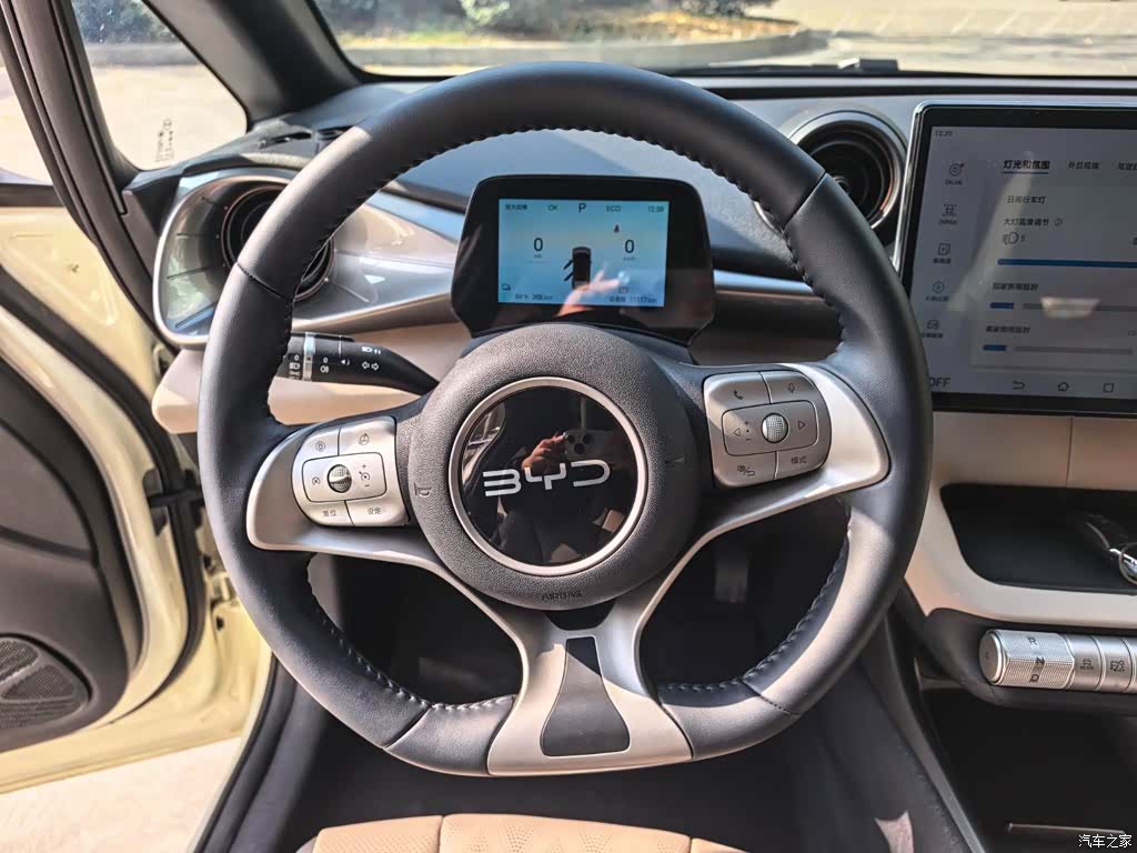 BYD Dolphin, 2024 6