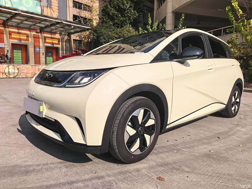 BYD Dolphin, 2024 8