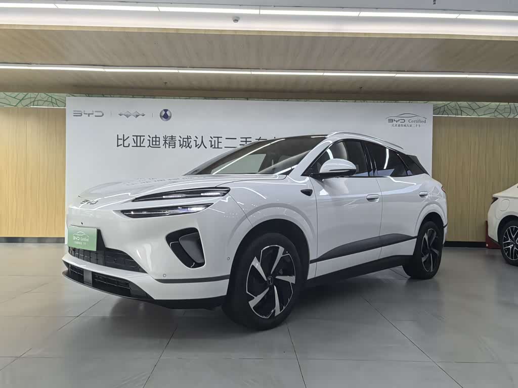 BYD 06