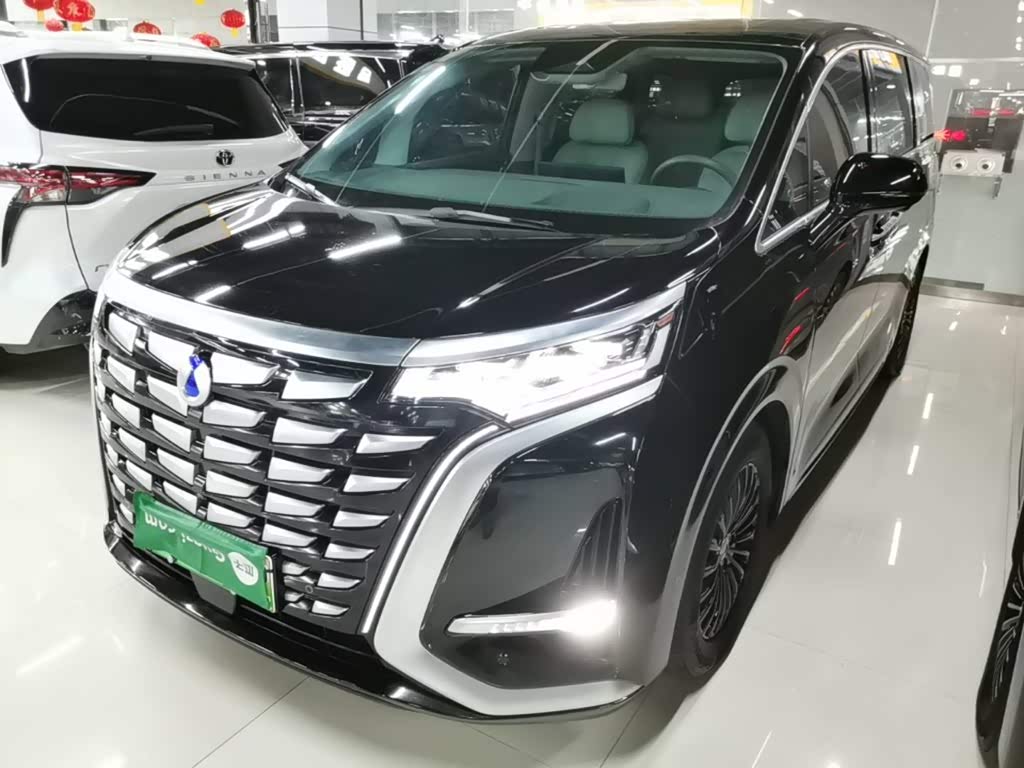 Denza D9