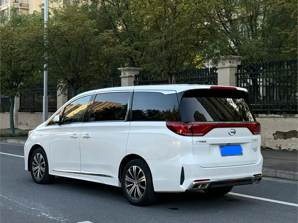 Trumpchi Trumpchi M8