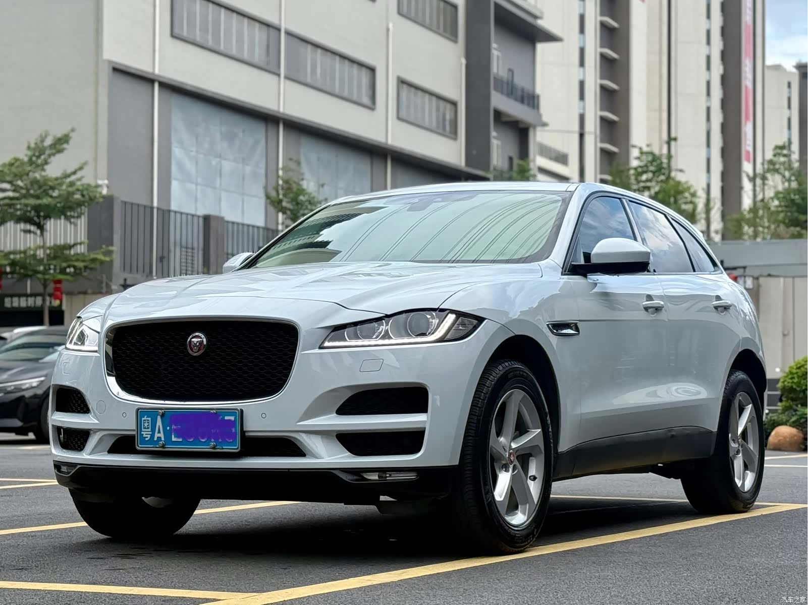 Jaguar F-PACE, 2016 все фото