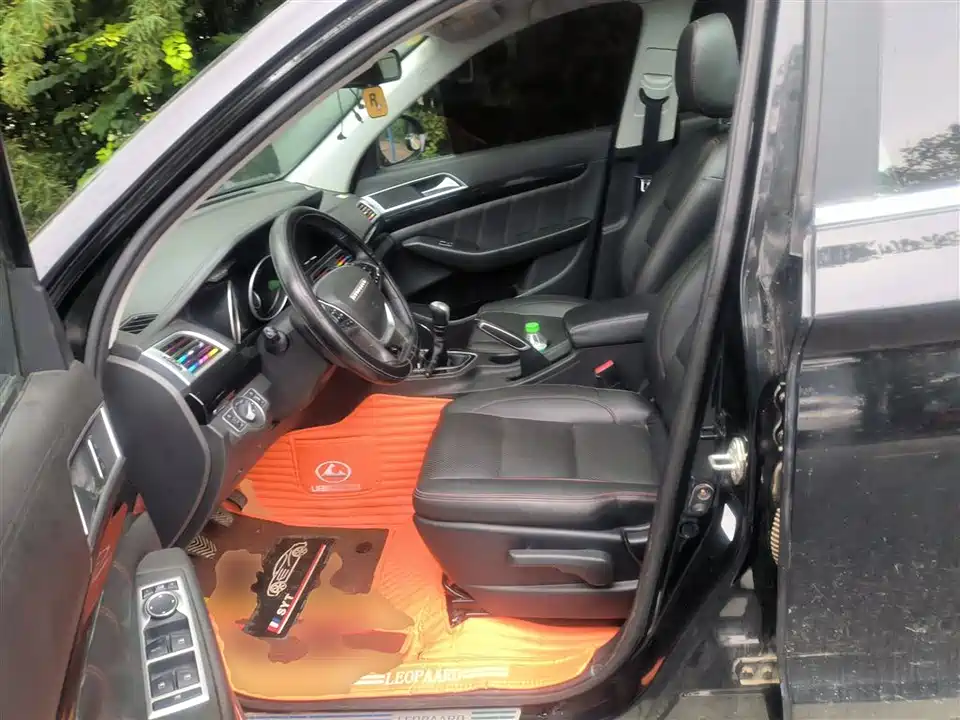 Leopaard Cheetah CS10