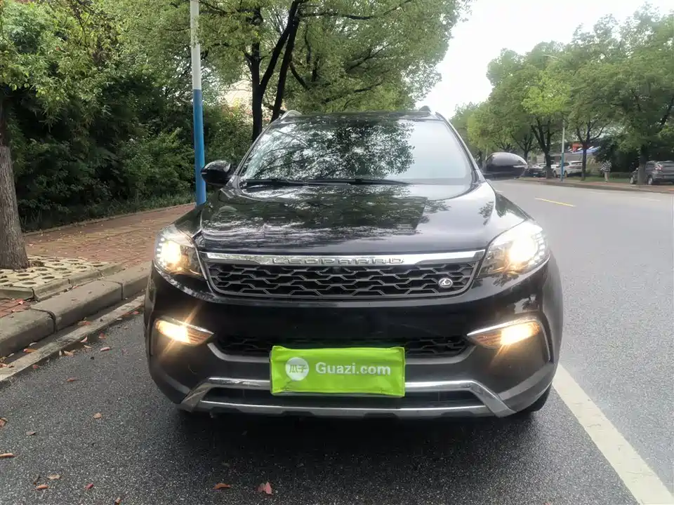 Leopaard Cheetah CS10