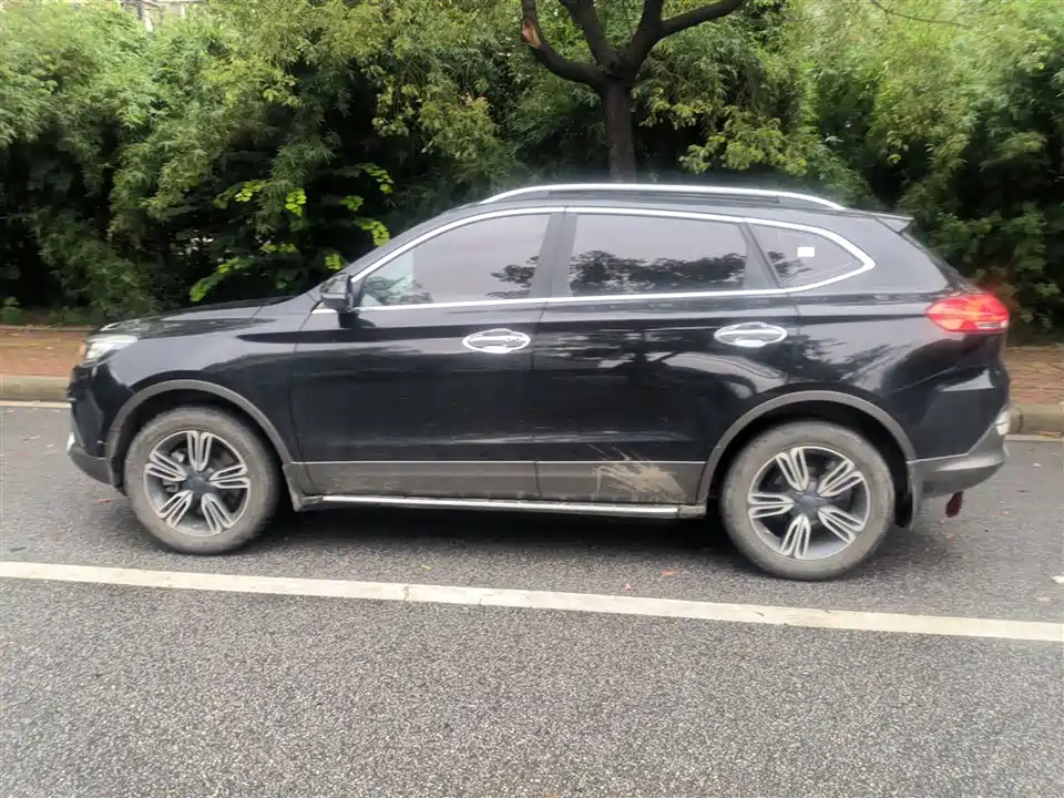 Leopaard Cheetah CS10