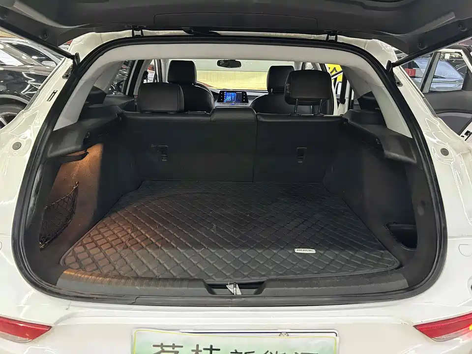 Buick Slightly blue 6