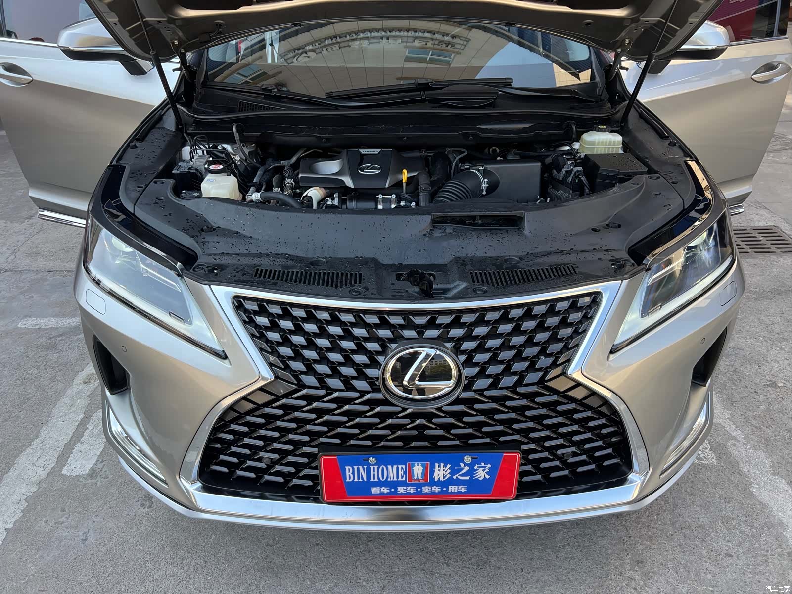Lexus RX, 2021 6