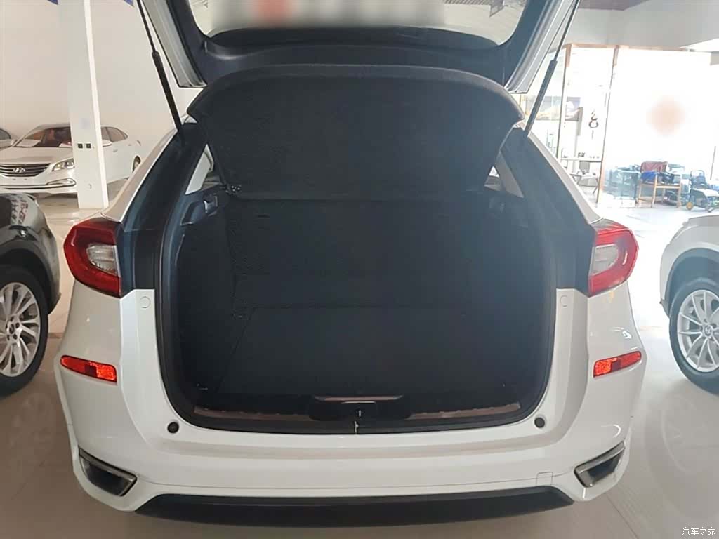 Honda Avancier, 2017 19