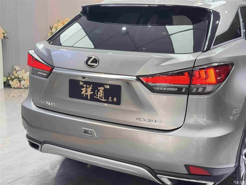 Lexus RX, 2022 22