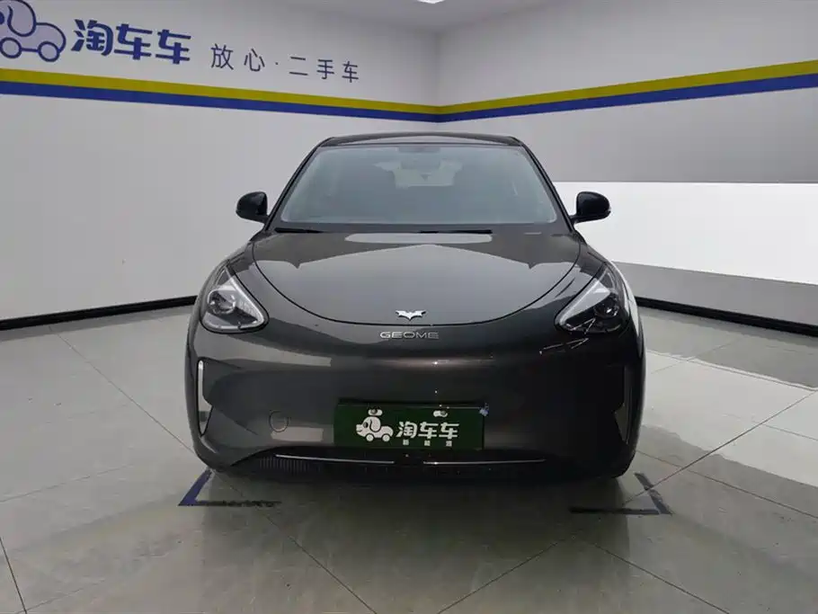 Geely Galaxy Star Wish