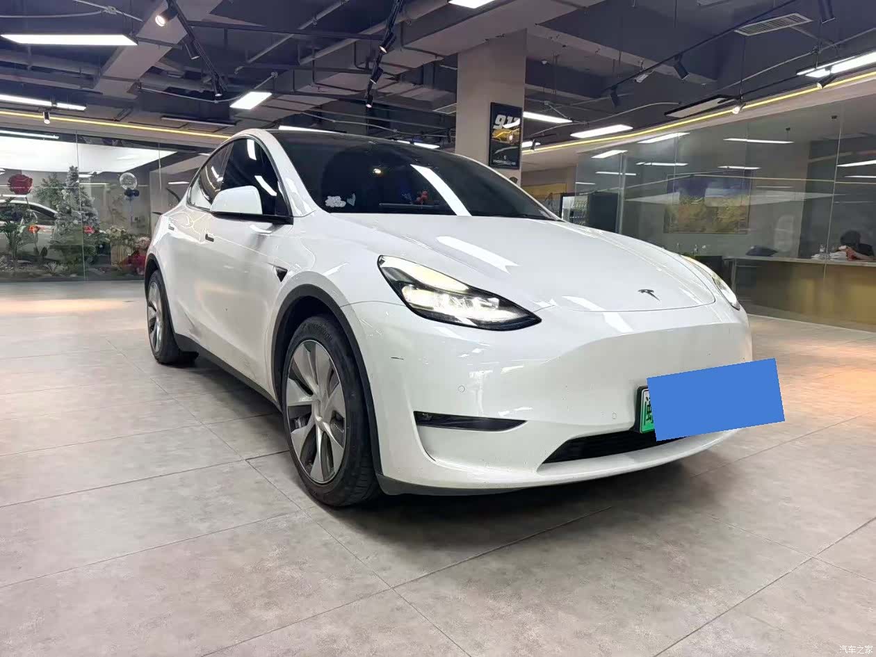 Tesla Model Y, 2021 3