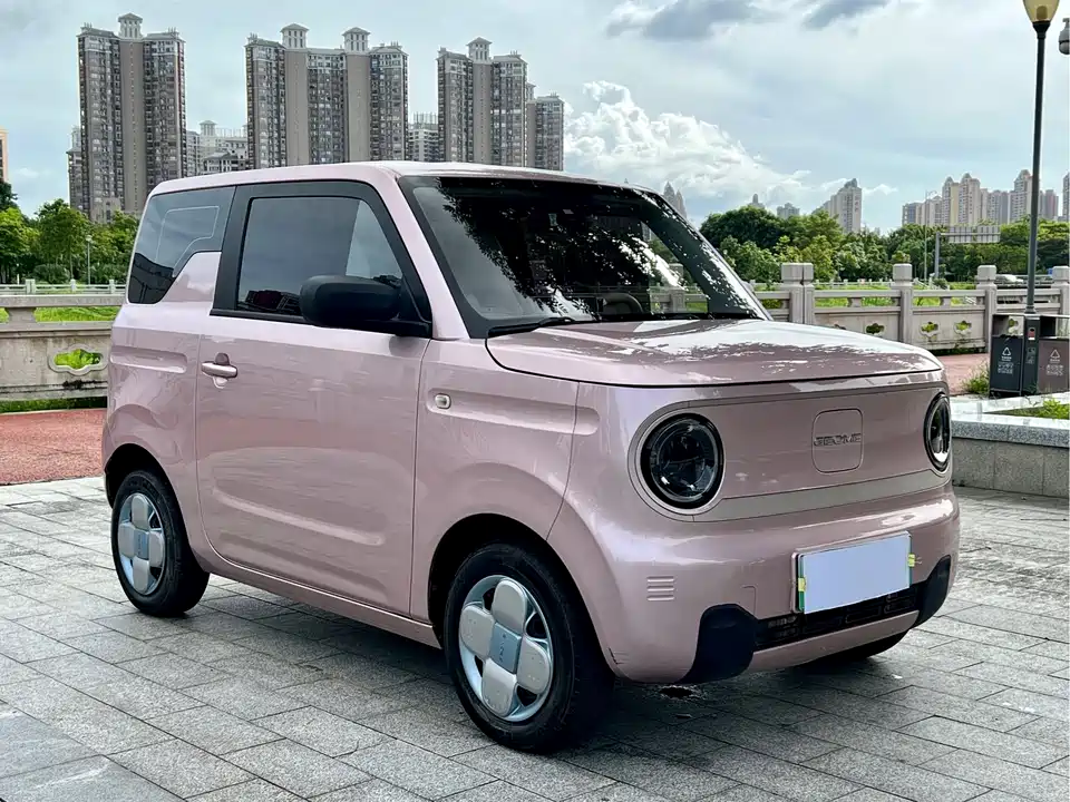Geely Galaxy panda