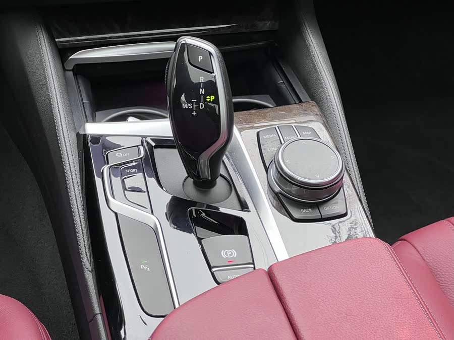 BMW 5 Series 2019, фото 13